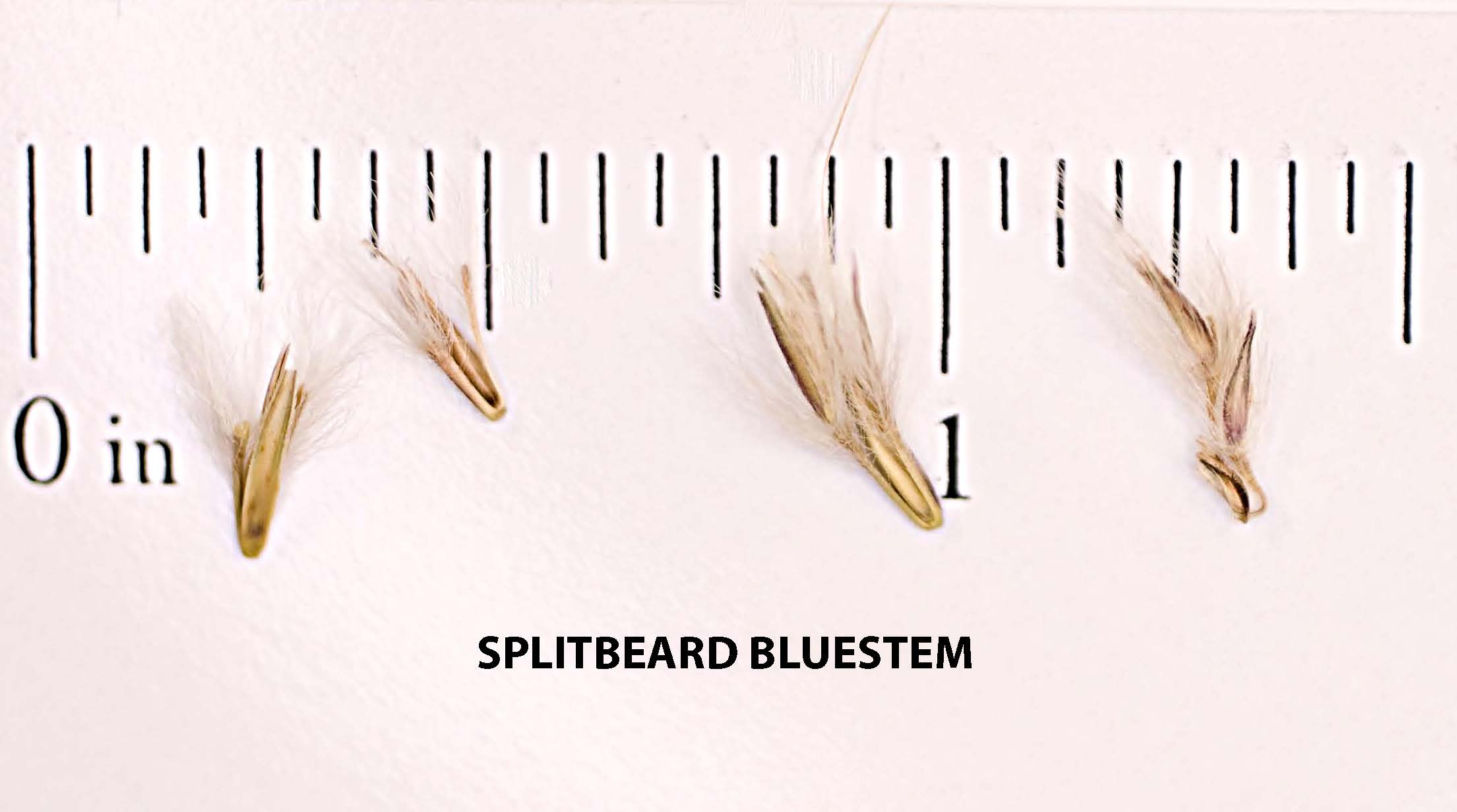 けん玉 Grain Theory Nick Stood Mod BLUEGATU Grain Theory